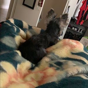 Meet your Posher, Mark